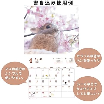 Amazon.co.jp: アクティブコーポレーション 2025年 カレンダー